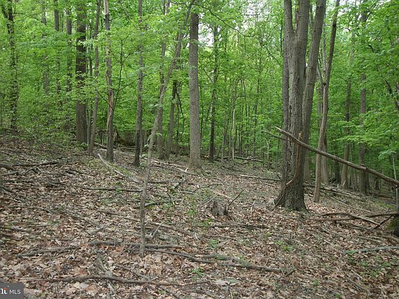 4th image of Hawks Hill Ln