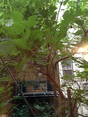 Rented by Warren T Real Estate Corp. | media 42