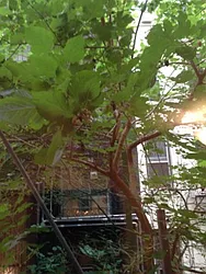 Rented by Warren T Real Estate Corp.