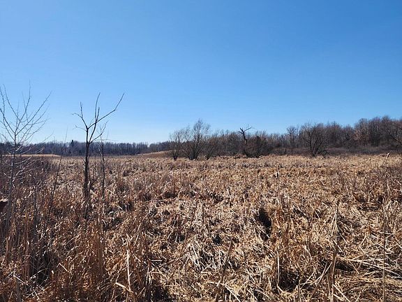 4th image of 12 Mile Rd