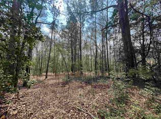 LOT 4 N Mize Rd, Clarkesville, GA 30523