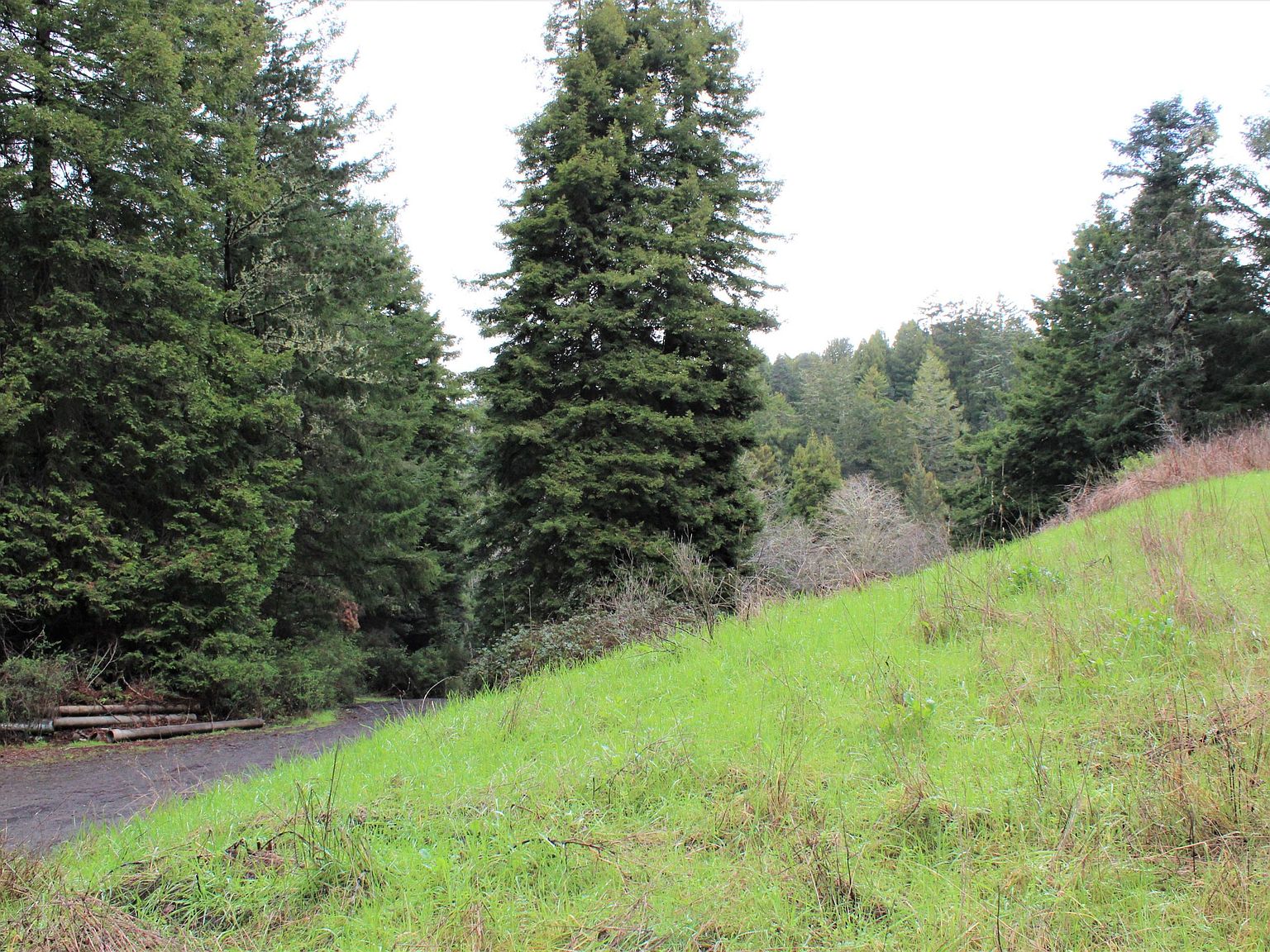 20880 Huckleberry Ln, Fort Bragg, CA 95437 Zillow