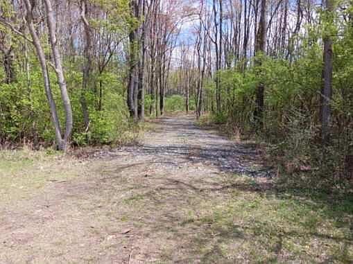 2nd image of 69802 Gumwood Rd