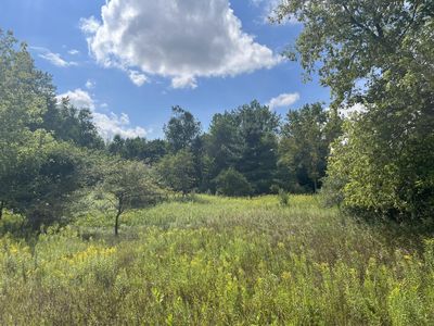 N 3rd St, Edmore, MI, 48829