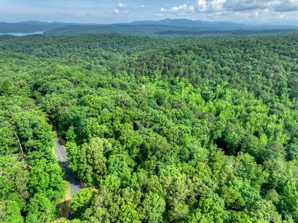 61 N Harris Creek Dr, Ellijay, GA 30540
