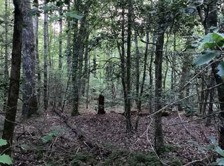 LOT 15 Hi River Rd, Hiawassee, GA 30546