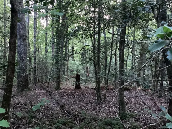 LOT 15 Hi River Rd, Hiawassee, GA 30546