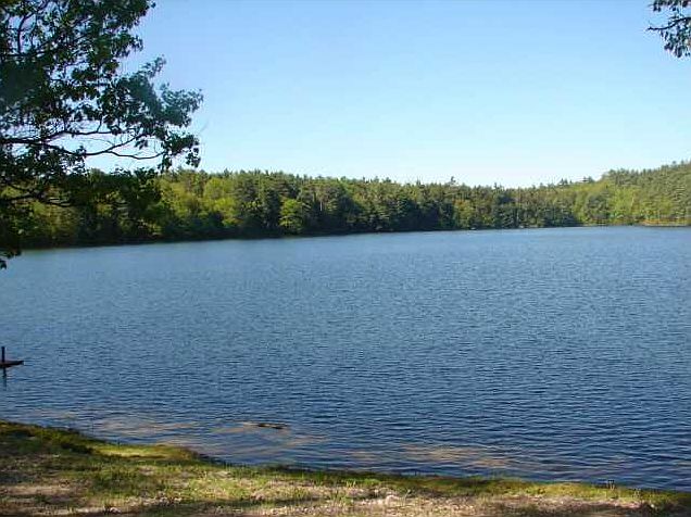 2nd image of 1 Adams Pond Road #1