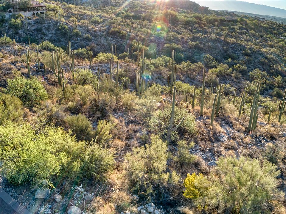 2nd image of 7334 N Finger Rock Pl #11
