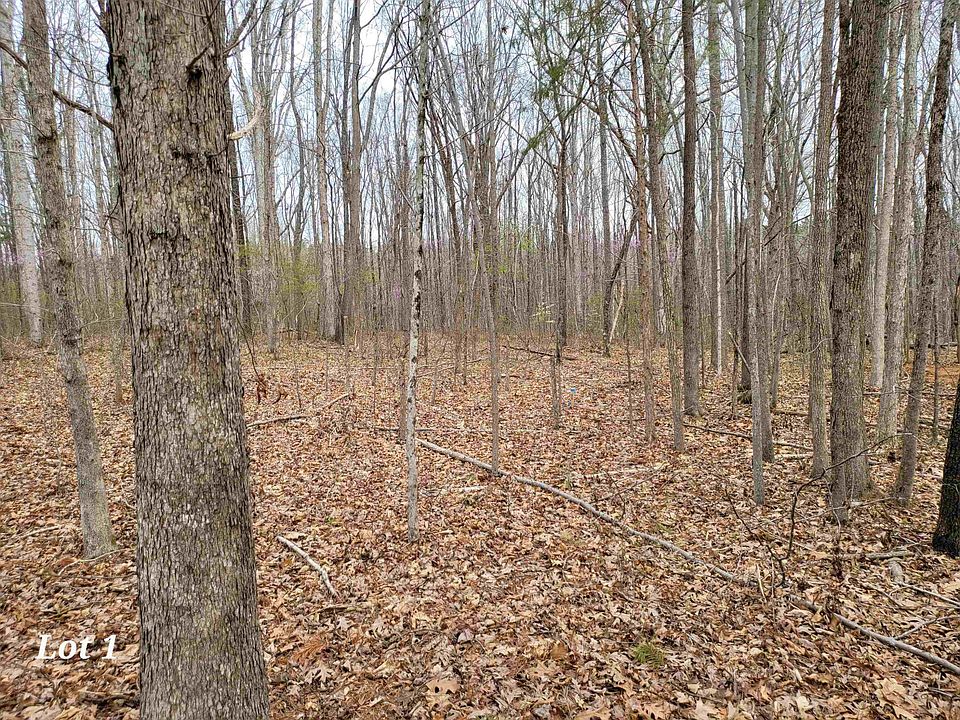 2nd image of 1 Loftis Loop Rd Lot 1