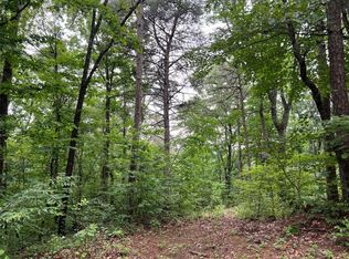 198 Log Round Mountain Rd #57, Ellijay, GA 30540