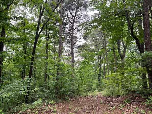 198 Log Round Mountain Rd #57, Ellijay, GA 30540