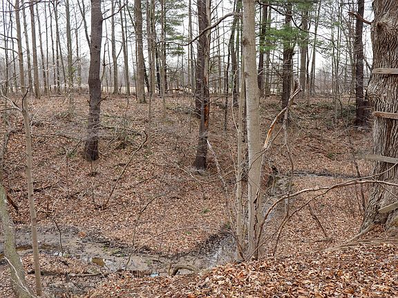 4th image of Sparling & Mayer Rd Lot 4