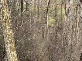 15A Mossy Oak Dr, Hiawassee, GA 30546