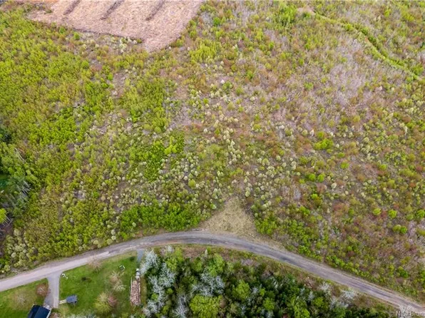 40 Davidson Rd, Cardwell, NB E4Z 1E1
