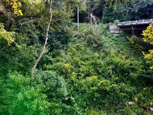 Low Gap Rd, Helenwood, TN 37755