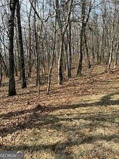 3rd image of 0 Burnt Mountain Ridge Rd