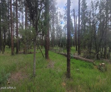 5363 Drive Stilletto Dr #4, Lakeside, AZ, 85929
