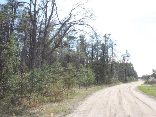 4489 Pine Rd, Lewiston, MI 49756
