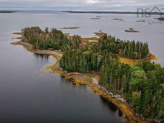2nd image of Bark Is