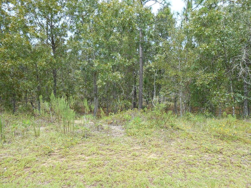 2nd image of 240 Melrose Landing Blvd