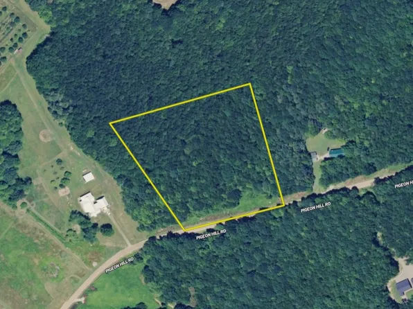 0 Pigeon Hill Rd, Tionesta, PA 16353