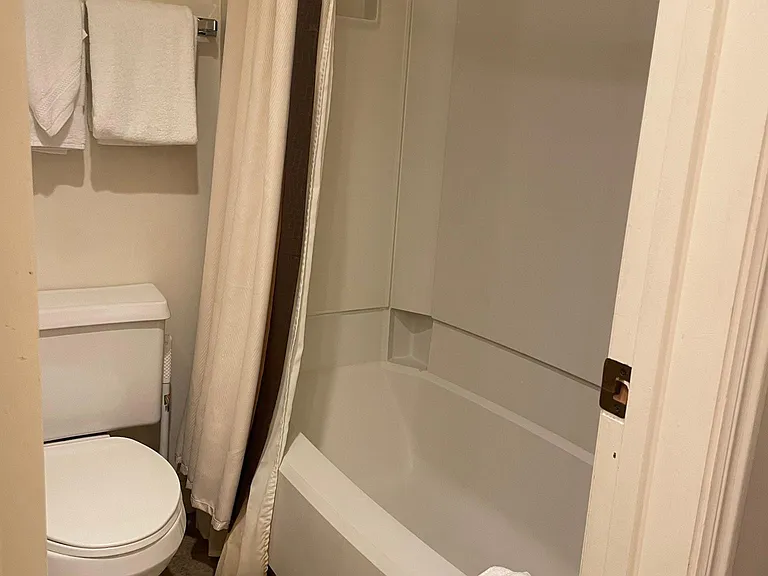 50 Shadow Ridge Rd #4313 — Photo 13