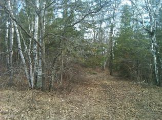 Tbd Bunchberry Ln NE, Bemidji, MN 56601