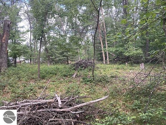 4th image of 0 Whitetail Dr Lot 115