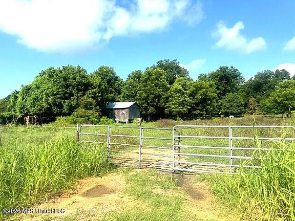 3rd image of 8274 Louisiana #566