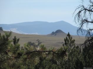 76 Donhe Trl, Hartsel, CO 80449