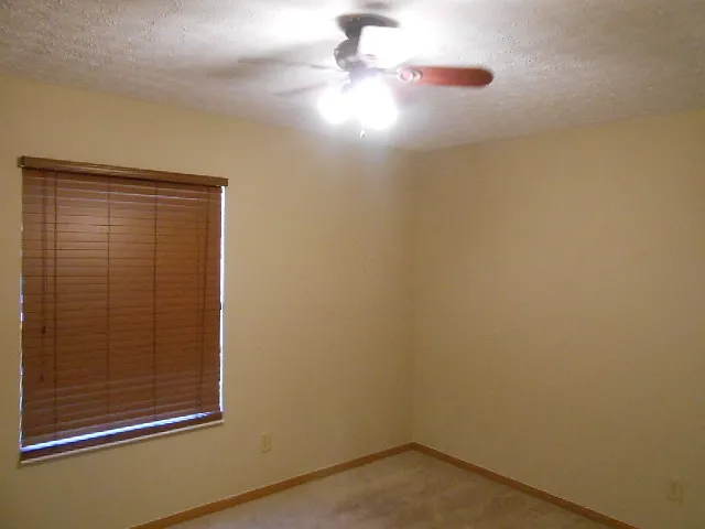 7468 Tyler Henry Ct — Photo 16