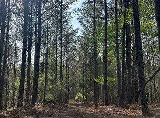 0 Pleasant Ridge Church Rd #1, Fayette, AL 35555