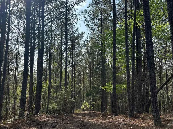 0 Pleasant Ridge Church Rd #1, Fayette, AL 35555