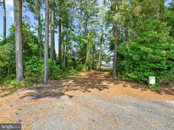 Lots 40 And Myrtle, Millsboro, DE 19966