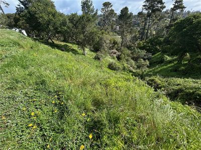 0 Plymouth St LOT 71, Cambria, CA, 93428