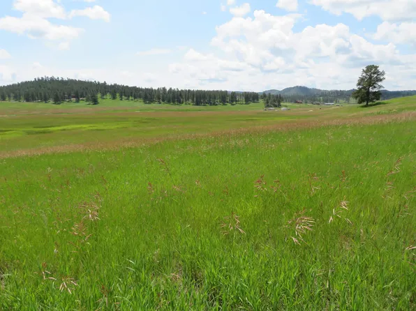 25349 Wind Song Valley Rd, Custer, SD 57730