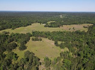 County Road 2290, Grapeland, TX