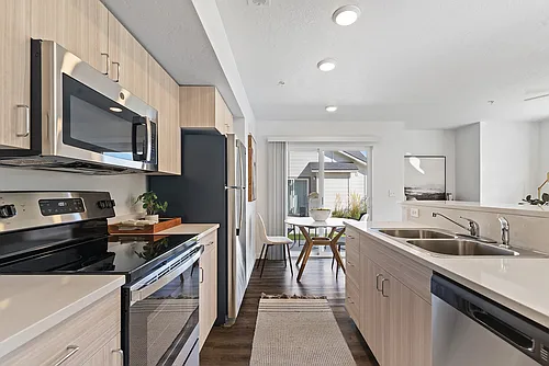 Amazon Falls Photo 1 Amazon Falls Photo 1