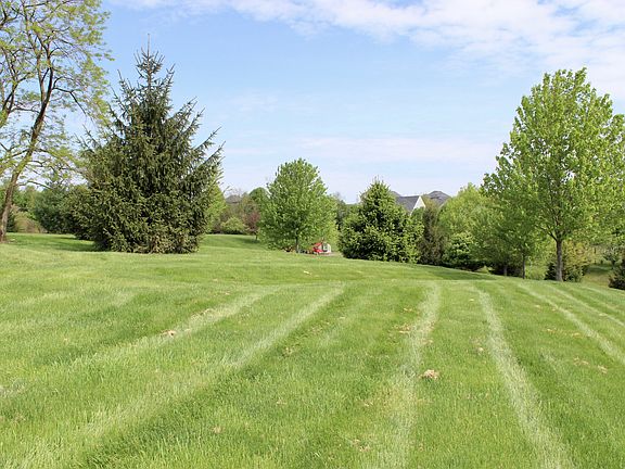 Backyard borders common area