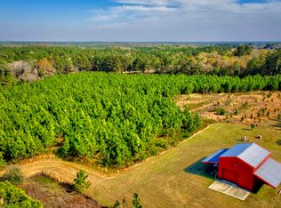 1293 Harden Chapel Rd, Lyons, GA 30436