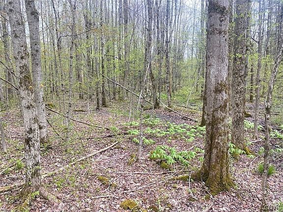 2nd image of 6281 E Hill Rd