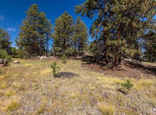 171 Sweet Gum Ln, Canon City, CO 81212