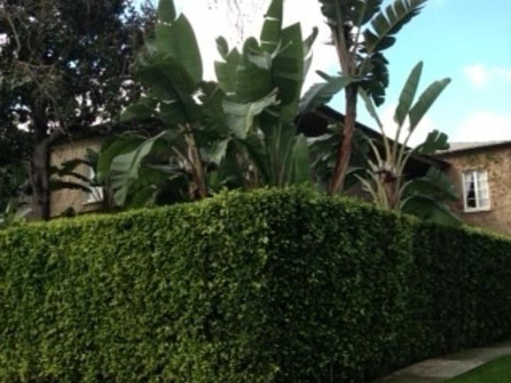 3rd image of 1233 S Crescent Heights Blvd