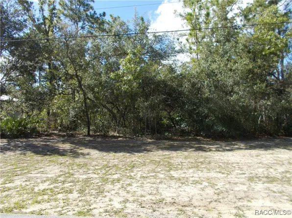 2796 W Paragon Ln, Citrus Springs, FL 34433