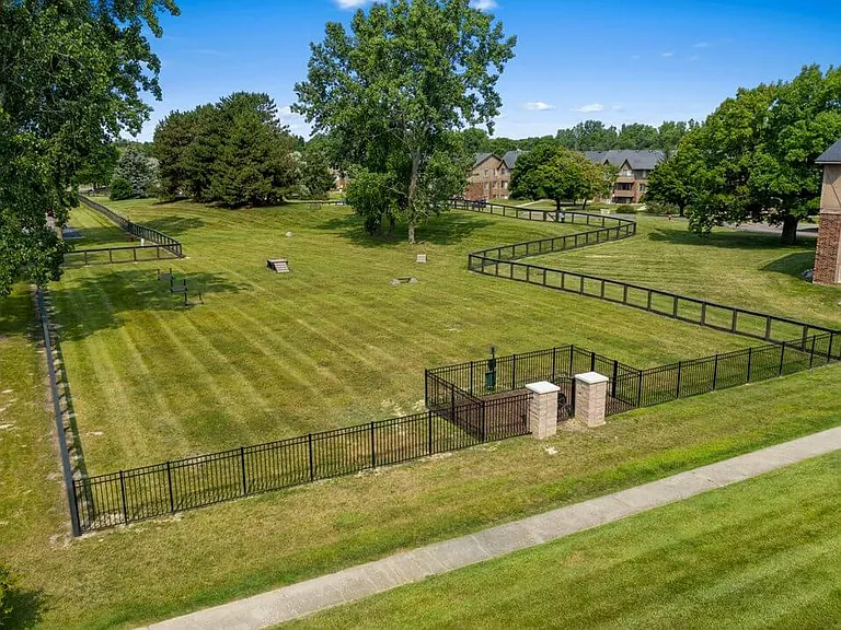 Expansive Dog Park