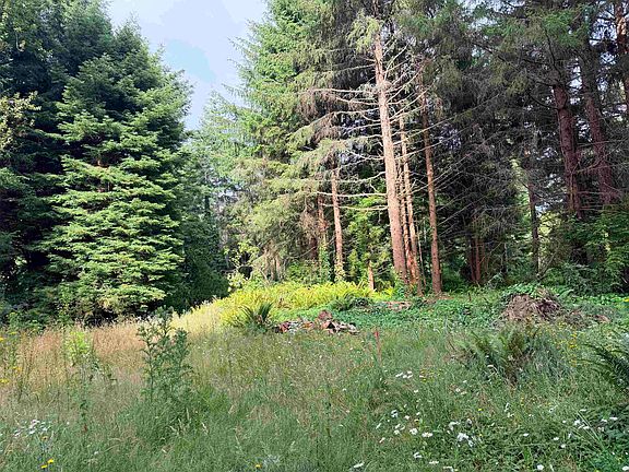 2nd image of 130 Pepperwood Dr