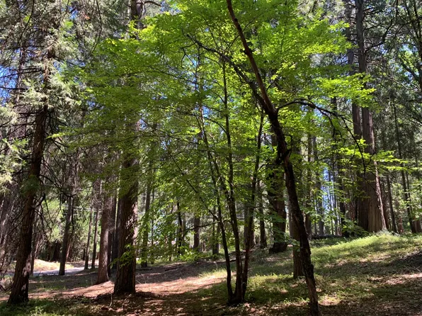 12043 Pasquale Rd, Nevada City, CA 95959