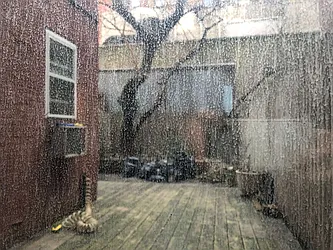 Rented by One New York Realty Inc