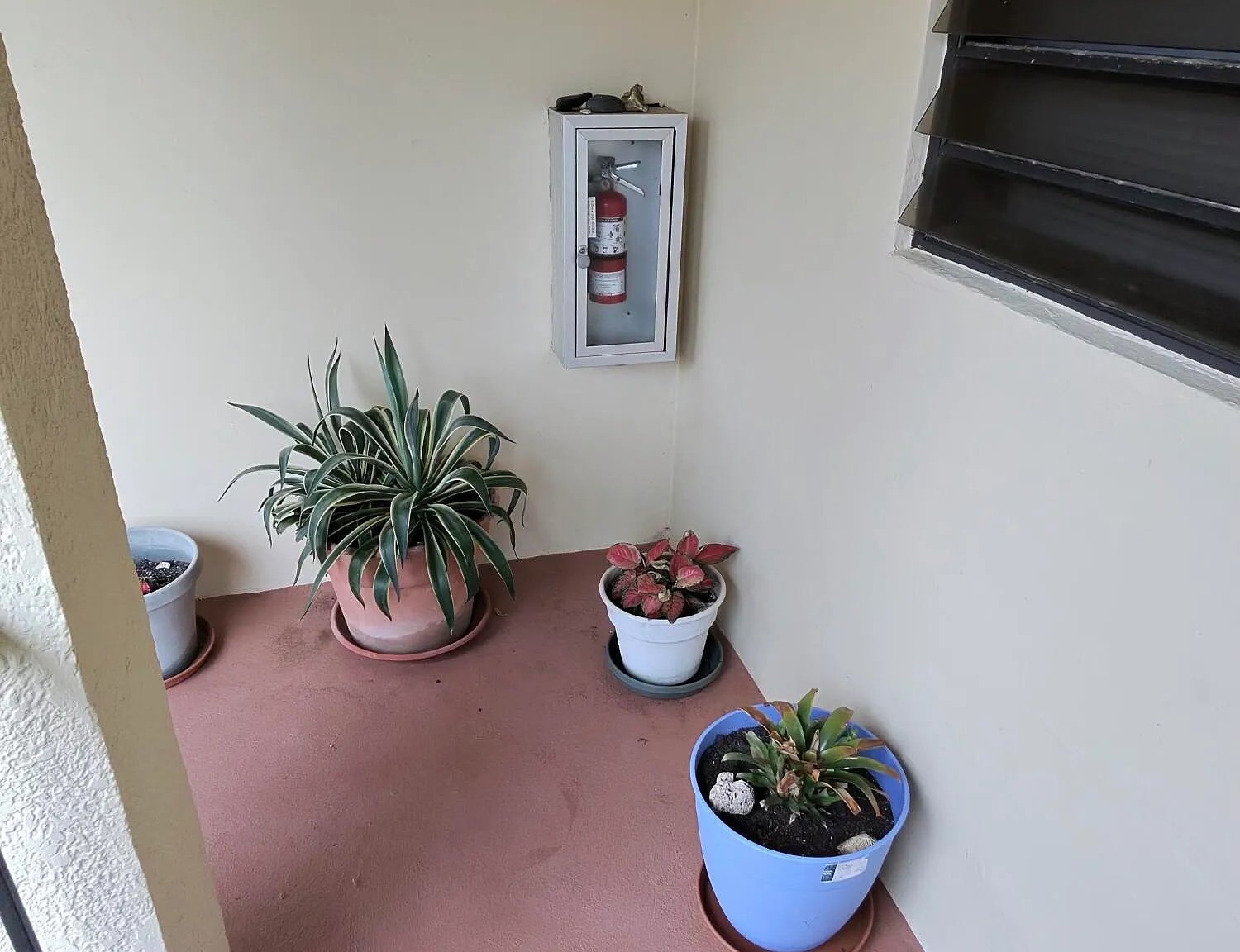 2 bed, $2,800 — Photo 3